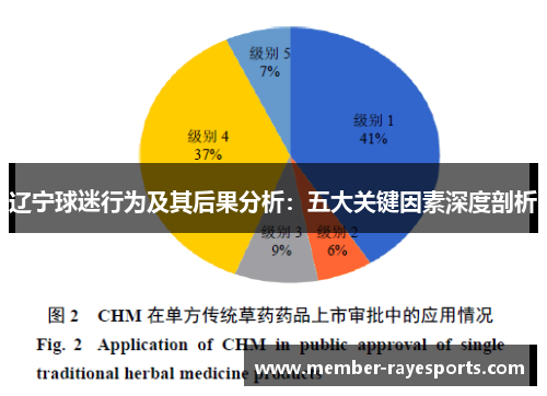 辽宁球迷行为及其后果分析：五大关键因素深度剖析