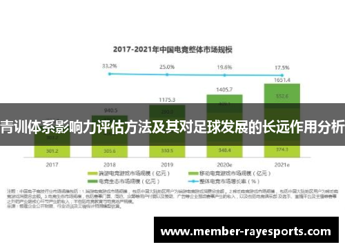 青训体系影响力评估方法及其对足球发展的长远作用分析 青训体系影响力评估方法及其对足球发展的长远作用分析