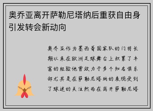 奥乔亚离开萨勒尼塔纳后重获自由身引发转会新动向